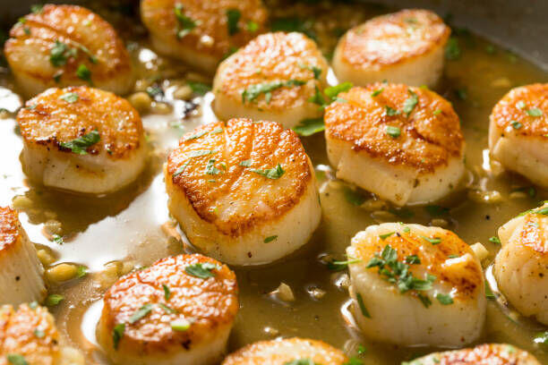(Side) Scallop